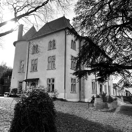 Bed And Breakfast Le Chateau De Morey Belleau Экстерьер фото