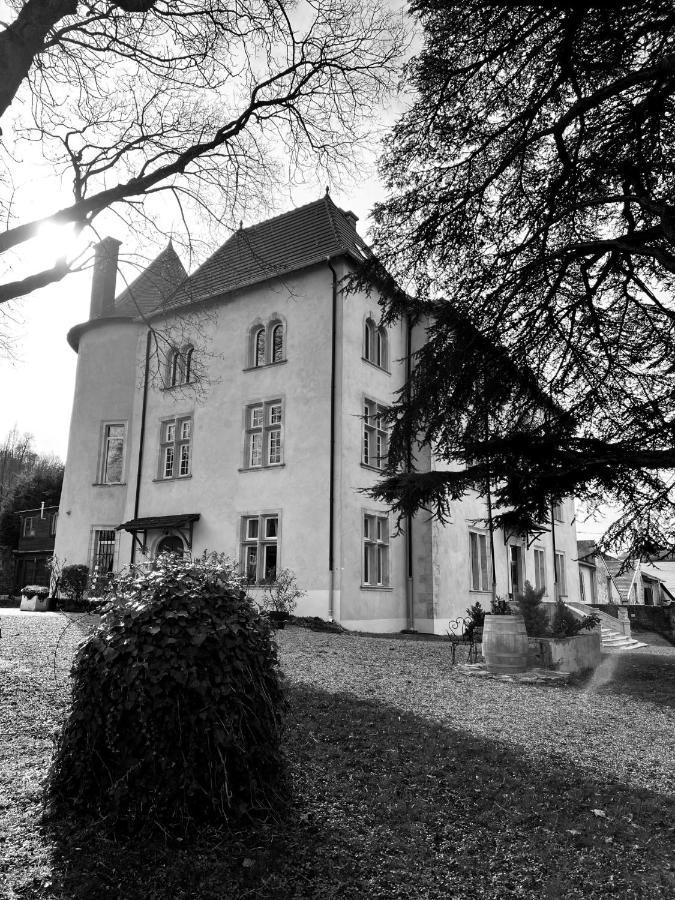 Bed And Breakfast Le Chateau De Morey Belleau Экстерьер фото